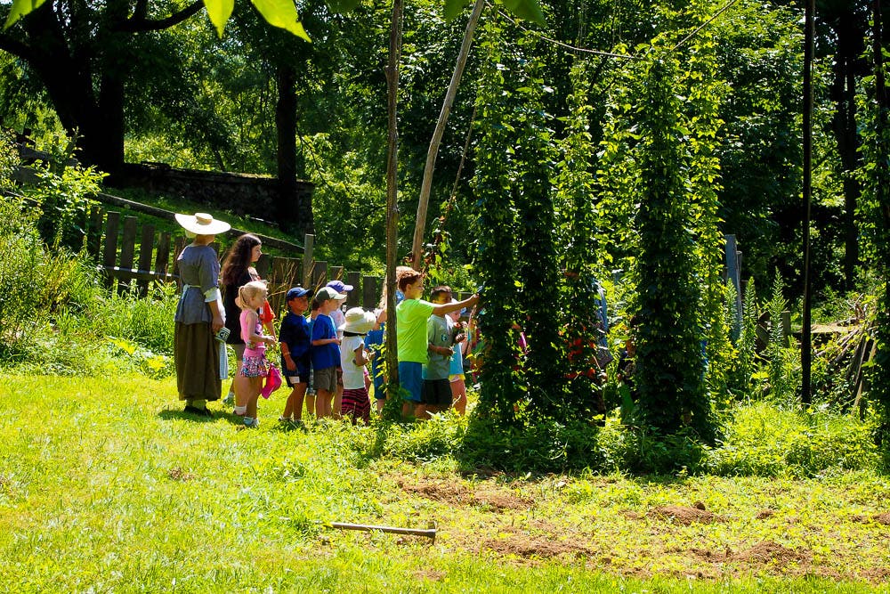 Revolutionary Gardens at CPF