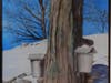Sweet Vermont by Susan Fox Mitrano