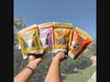 Four TerraPawz dog treat varieties are held up and showcased: Pumpkin No-Grain Nibbles, Sizzlin’ No-Grain Nibbles, Nutty Bark Bites, and Cheezy Bark Bites.