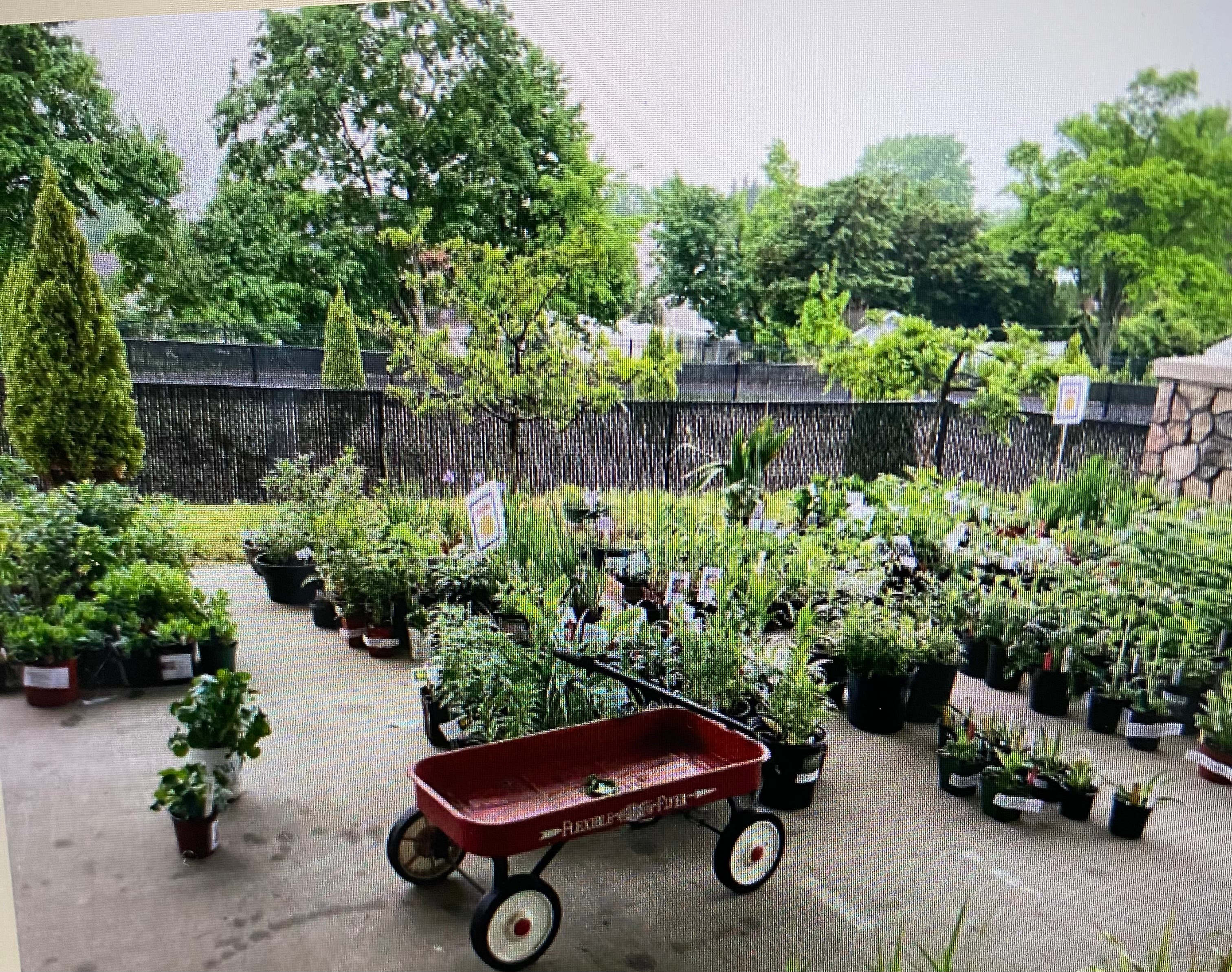 May 20 Orchard Valley Garden Club2023 Gardeners Market and Plant