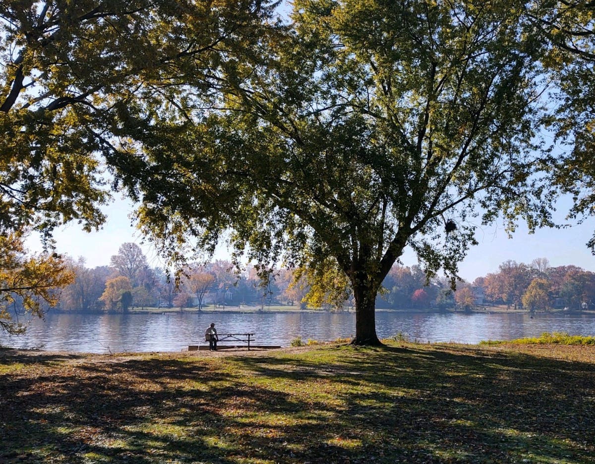 The renovations are part of a $100 million plan Camden County said will revitalize its parks, conservation areas and waterways.