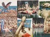 Lance put this collage of birds together from pictures in a magazine, his instructor says.