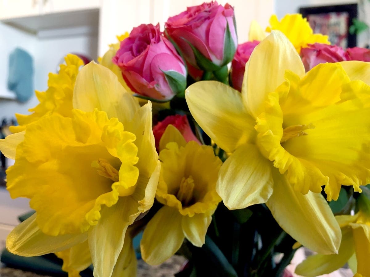 Enjoy the sight of flowers in Ocean City this weekend.