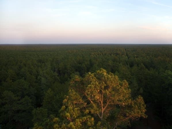 The permit system would operate similarly to the Mobile Sport Fishing Vehicle Permit at Island Beach State Park, the DEP said.