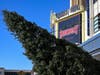 The balsam spruce was transported from North Carolina to its new home on the iconic boardwalk of Atlantic City as the first ever decorated tree in the 152-year history of the boardwalk.