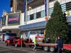 The balsam spruce was transported from North Carolina to its new home on the iconic boardwalk of Atlantic City as the first ever decorated tree in the 152-year history of the boardwalk.
