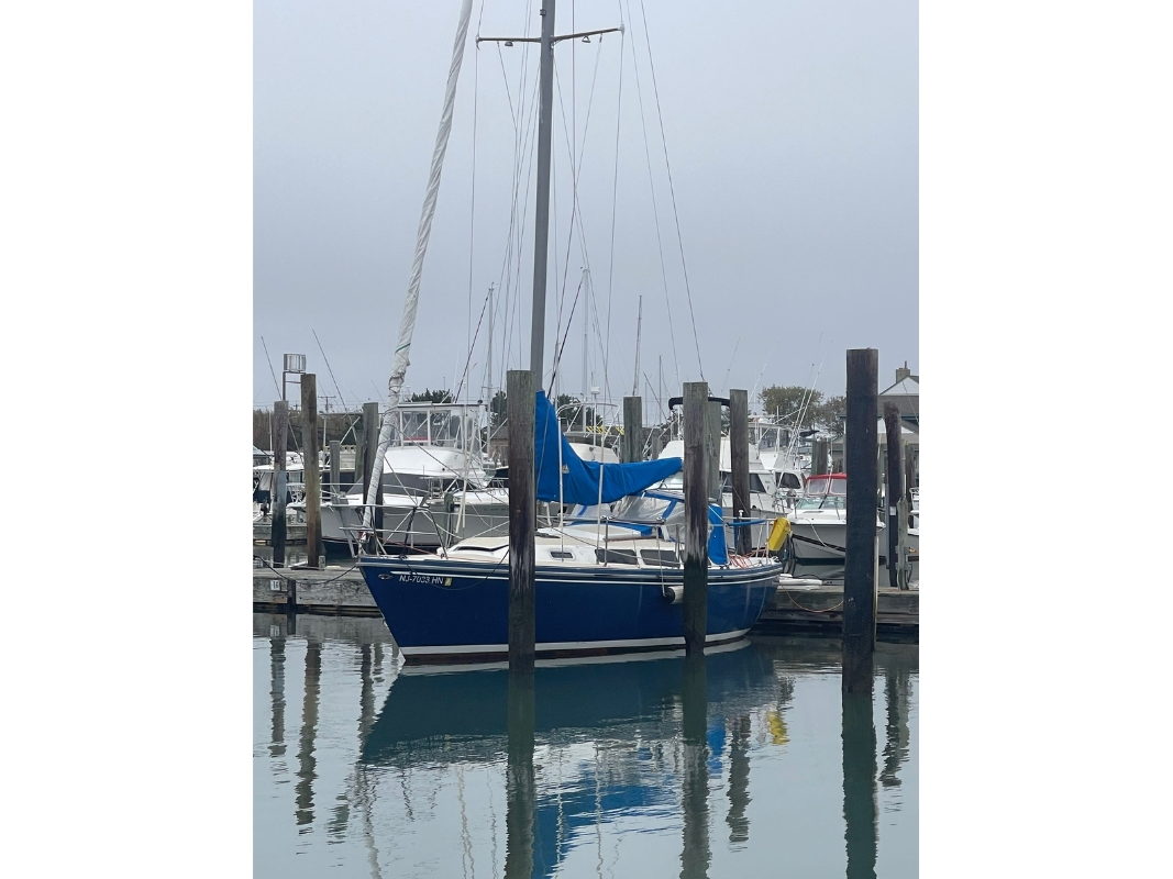 The Coast Guard, with help from the tanking vessel Silver Muna, found Kevin Hyde, 65, and Joe Ditomasso, 76, along with a pet dog, officials said. They were about 214 miles east of Delaware.