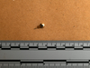 This single stud earring was found with the remains.