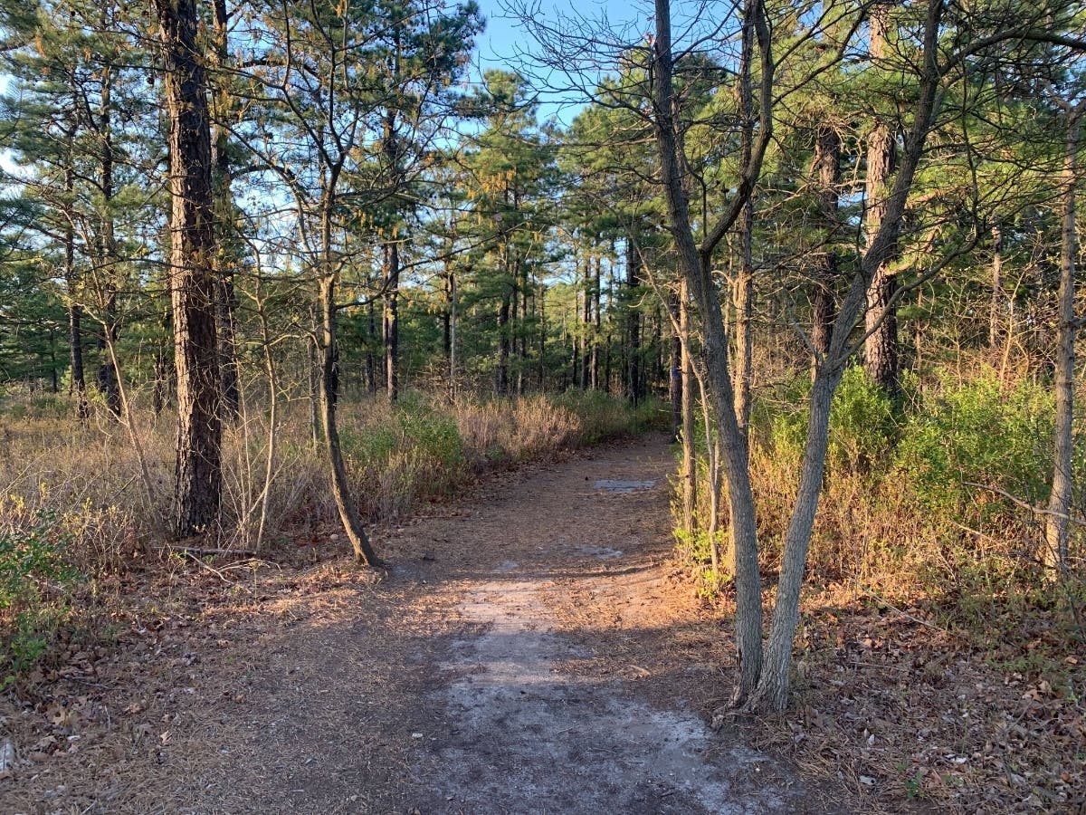Get outside this weekend for National Trails Day and more.