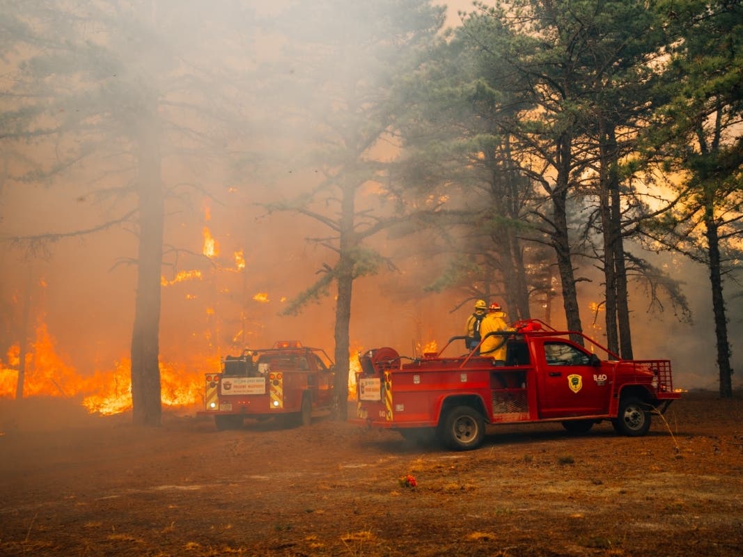 On the night of April 21, 2025, then-19-year-old Joseph Kling and friends started a bonfire in the area of the Forked River Mountains and did not properly extinguish it.