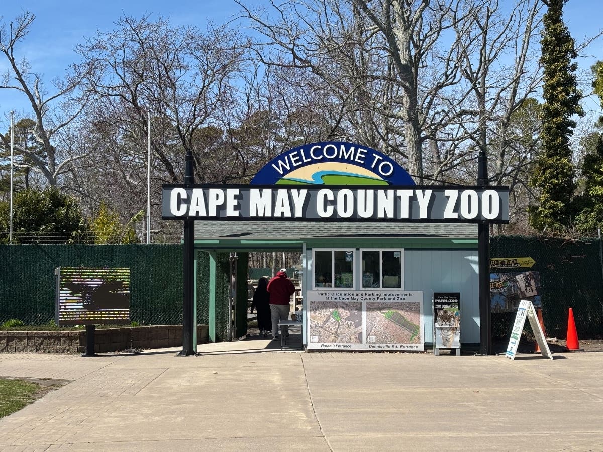 The zoo said Mork was 17 years old and died after a seizure-like medical episode last week.