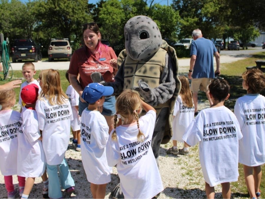 The June 3 event in Stone Harbor also marked the start of several terrapin releases planned for this season.