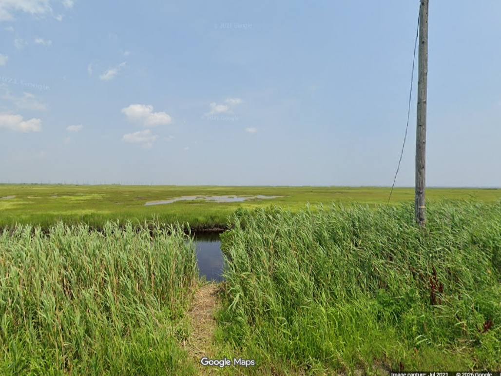 Stafford Township has released a new update on the Resilient Stafford project, saying dredging and marsh restoration work near the Beach Haven West community is continuing as planned.