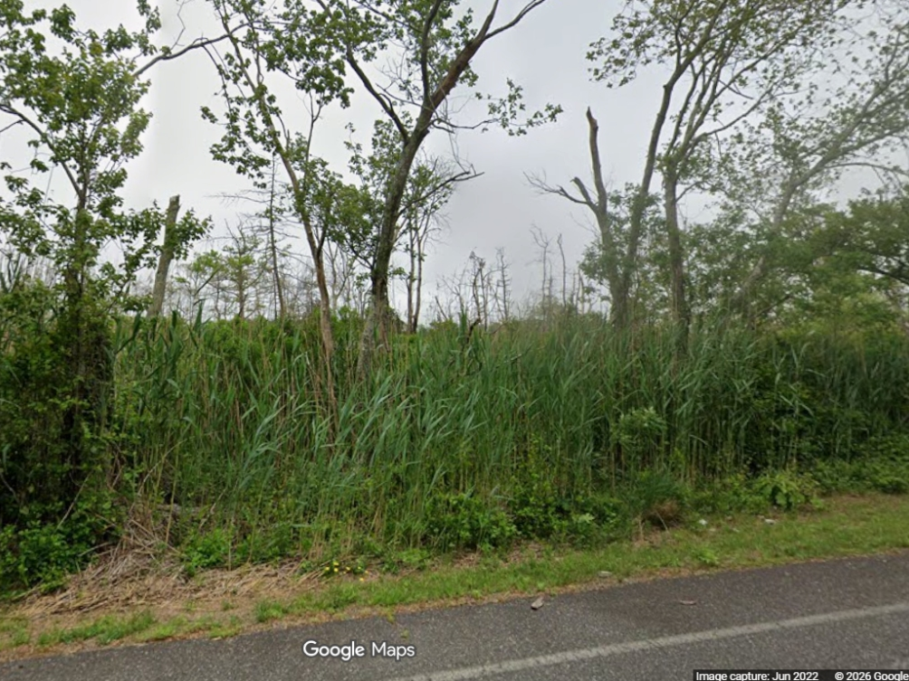 Parts of the Lighthouse Center in Waretown and the Upper Barnegat Wildlife Management Area will be temporarily closed while a coastal habitat restoration project moves forward there, according to the New Jersey Department of Environmental Protection.