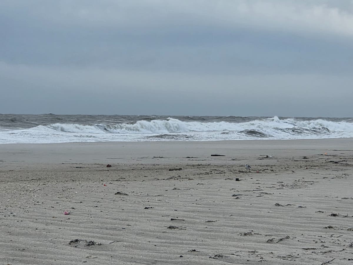 Ocean City beaches suffered moderate damage in the recent nor'easter, according to a report by the New Jersey Department of Environmental Protection.