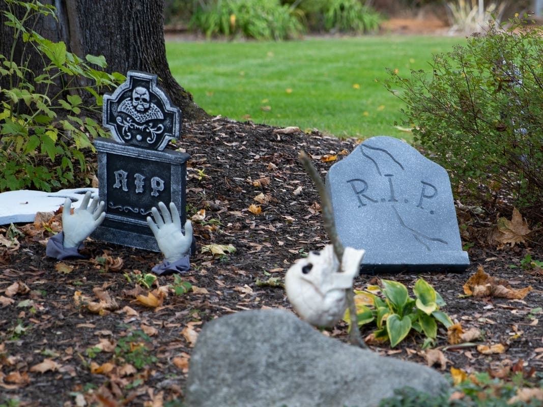 Check Out Barnegat's Spookiest Halloween Houses