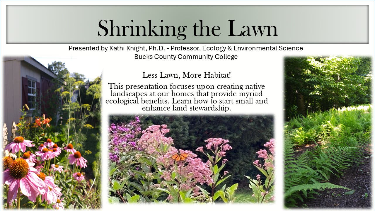 Shrinking the Lawn