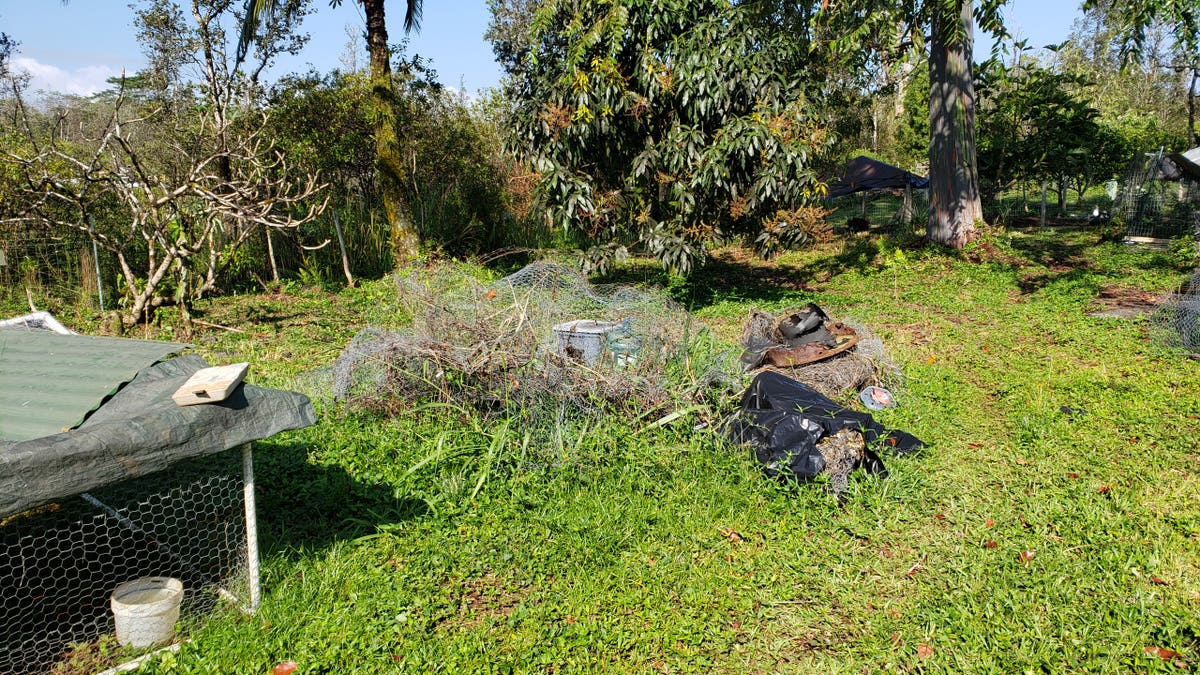 808 Junk Removal & Demolition