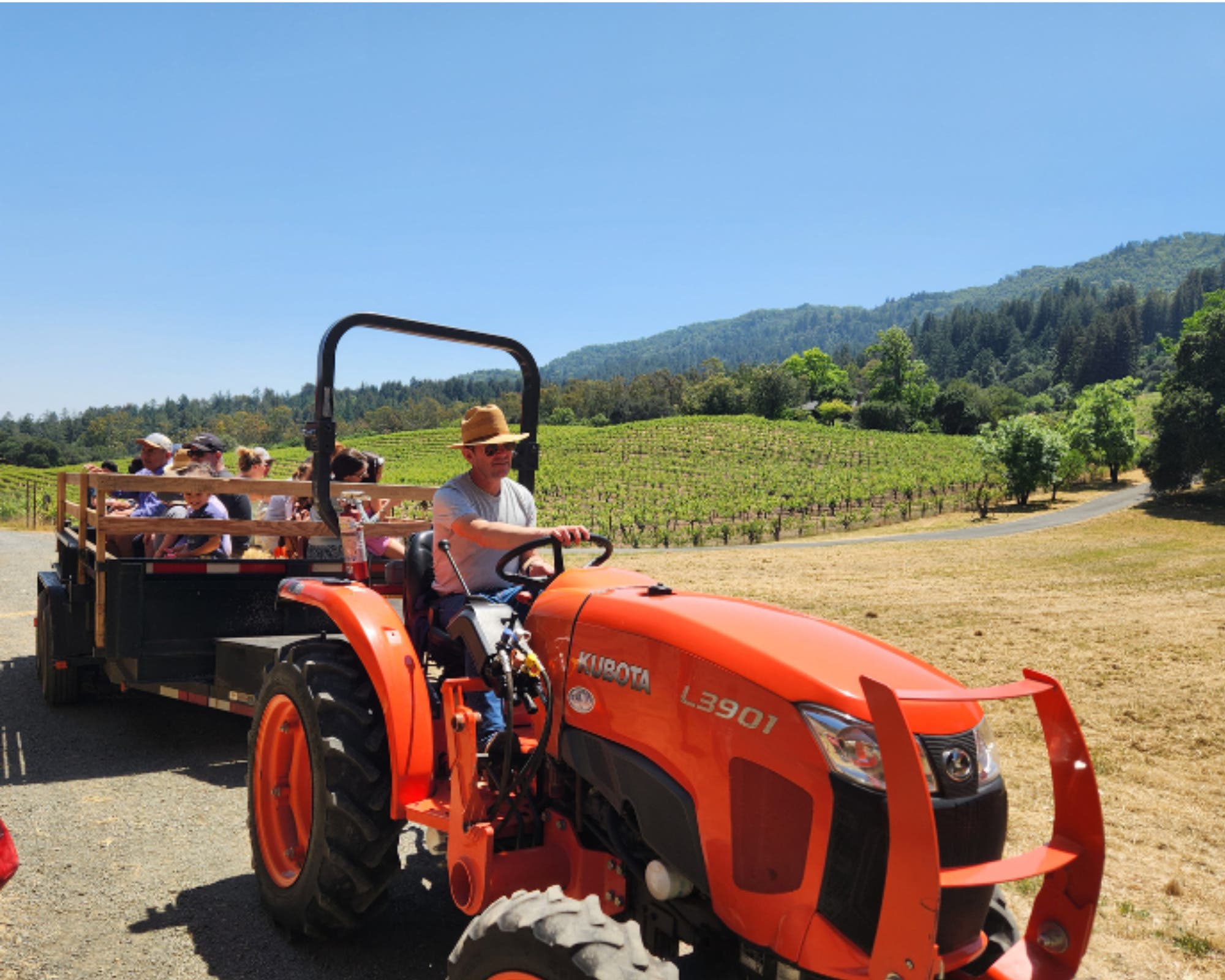 Fifth Annual Call of the Wild Festival