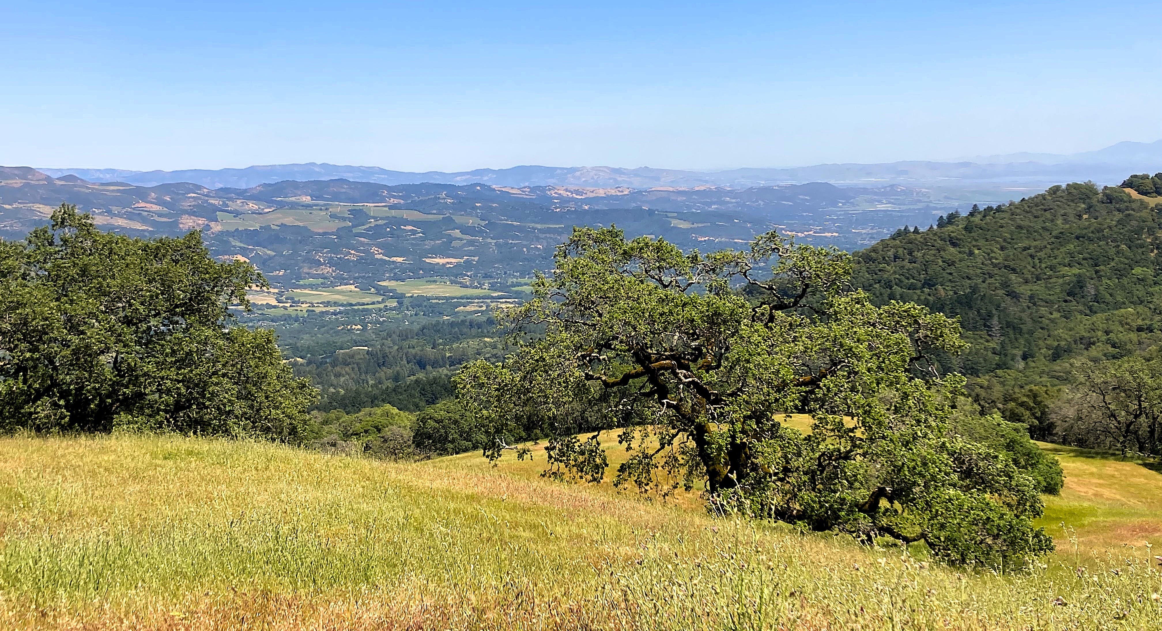 Hasta la Cima en Jack London State Historic Park