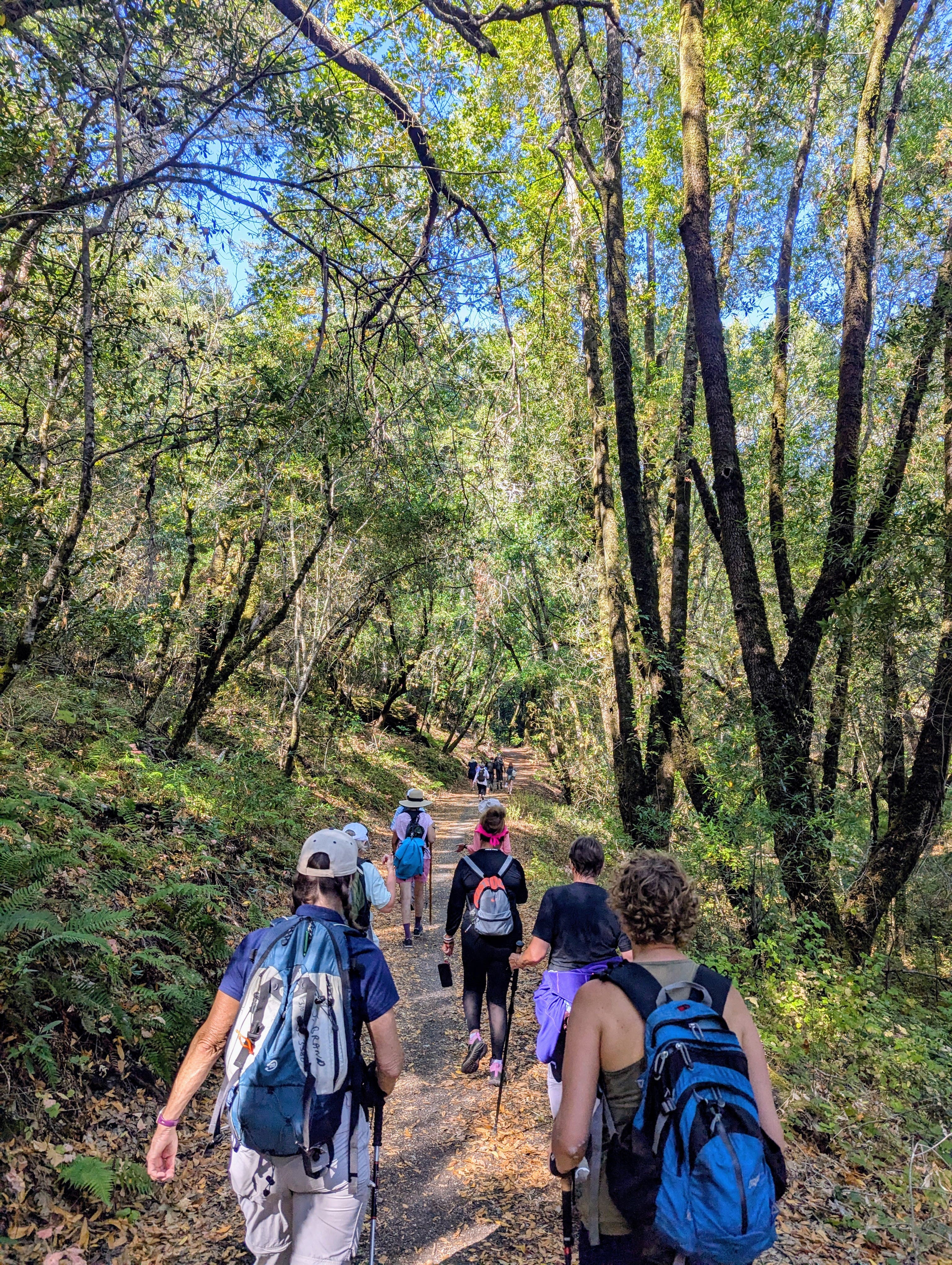 Retos en las Montañas (Challenges in the Mountains)