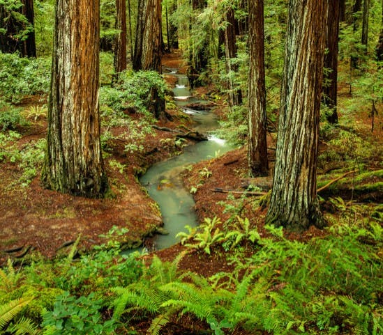 Creative Photography Workshop at Jack London State Historic Park