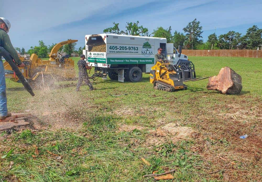 Salas Tree Service