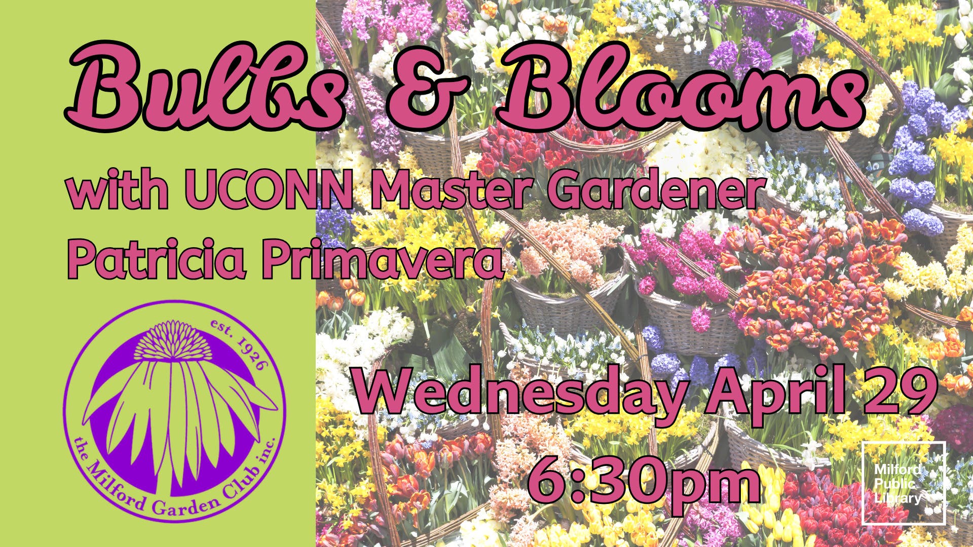 Bulbs & Blooms with the Milford Garden Club 