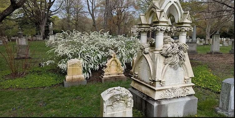 Somerville Stories at Mount Auburn