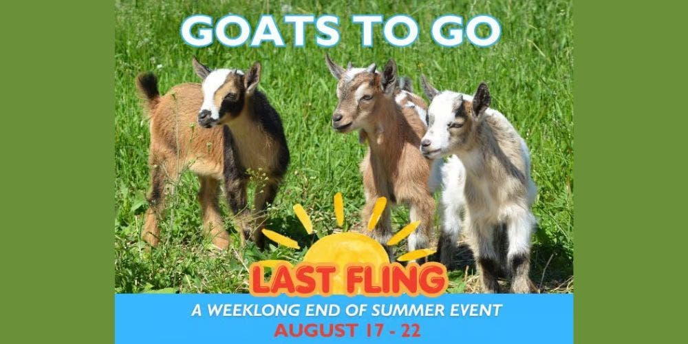 Last Fling: Goats to Go