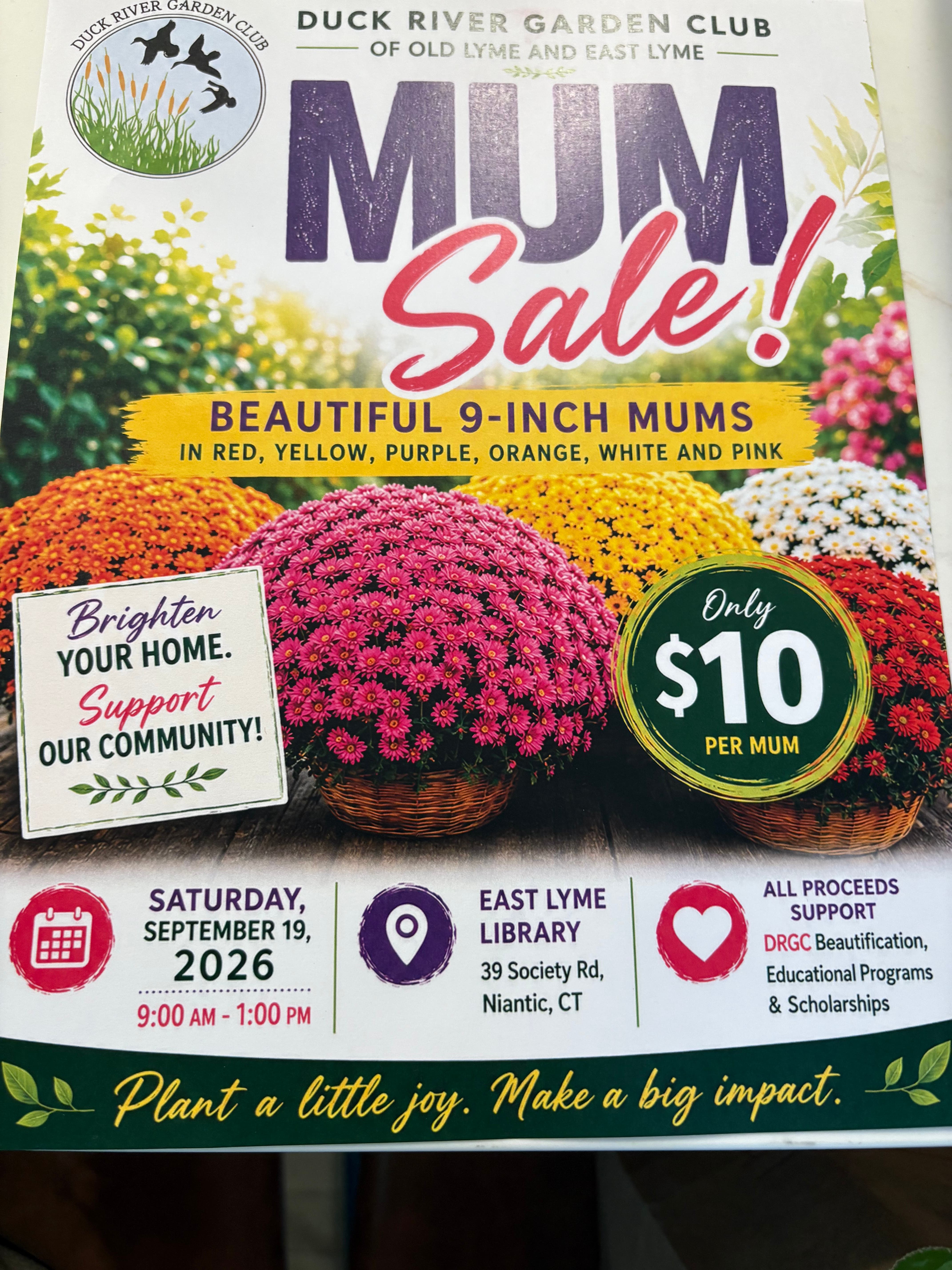 Duck River Garden Club of Old Lyme and East Lyme Annual Mum Sale