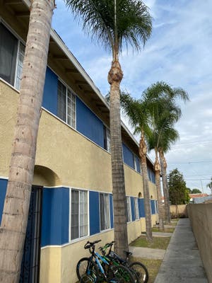 Padilla tree service