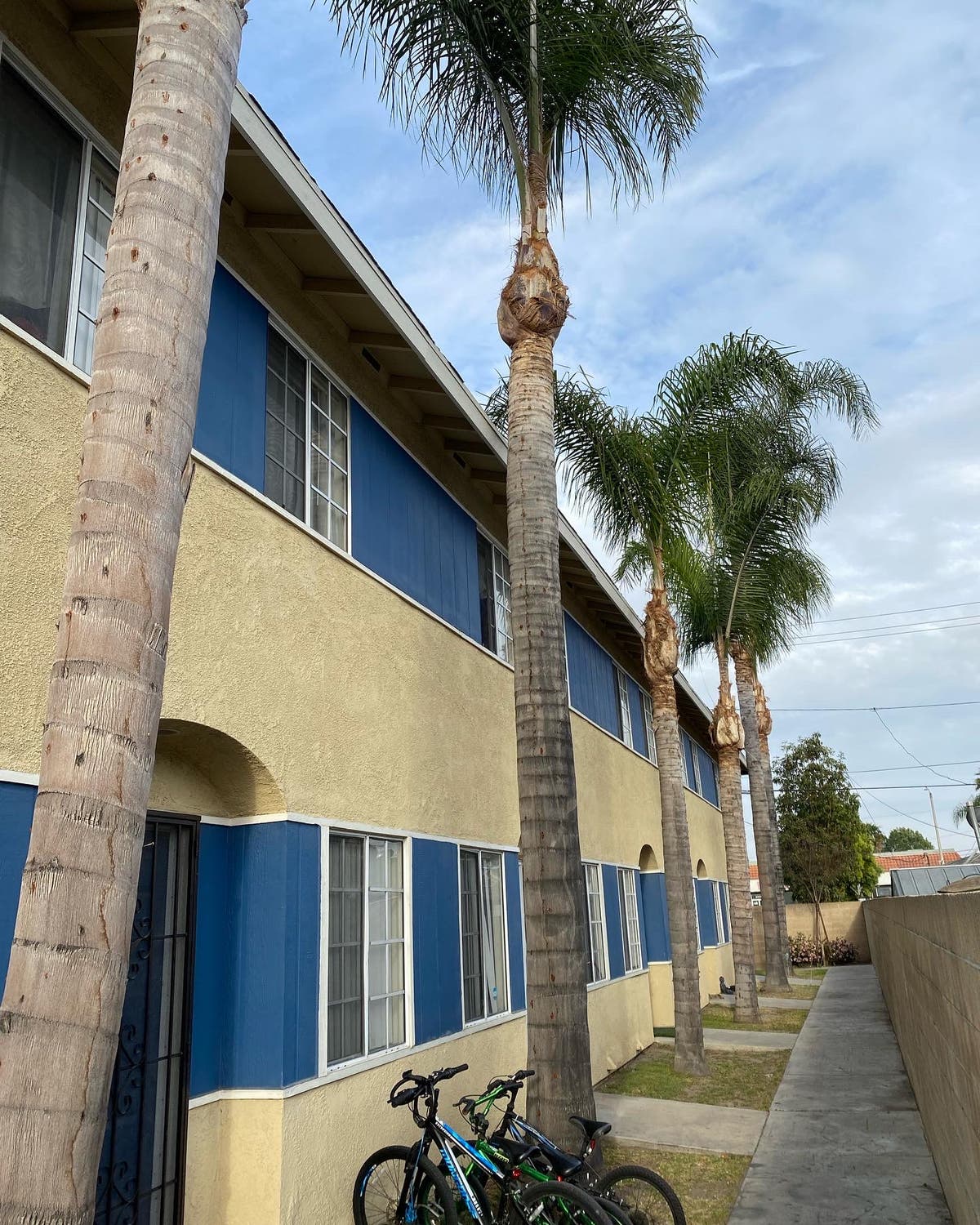 Padilla tree service