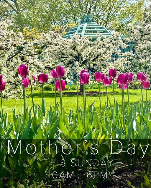 Mother's Day at Old Westbury Gardens