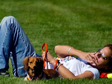 Summer “DOG DAYS” Weekend!