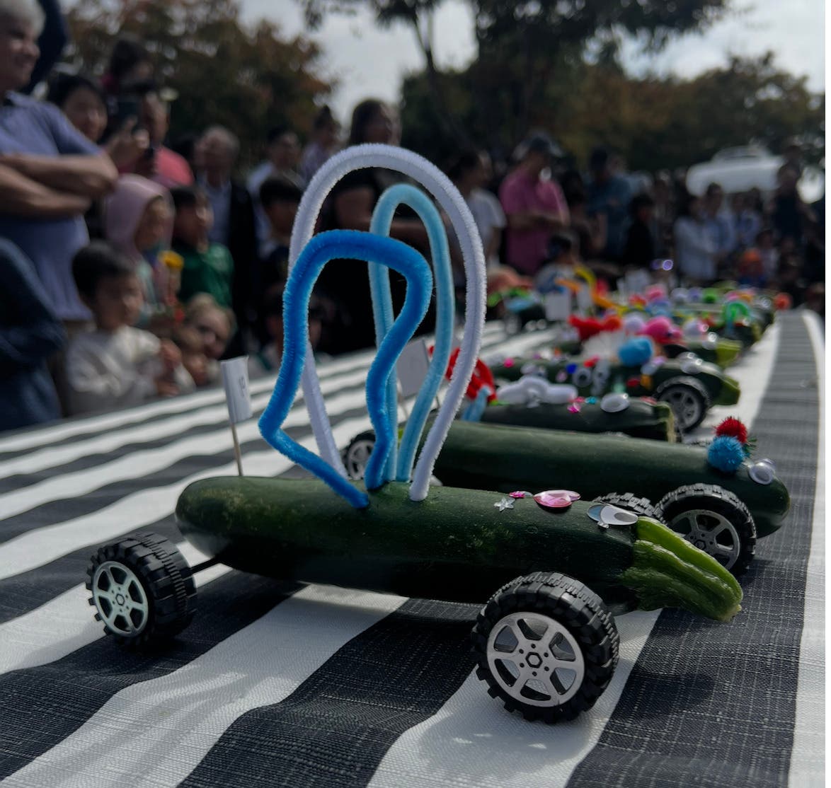 Zucchini Car Race