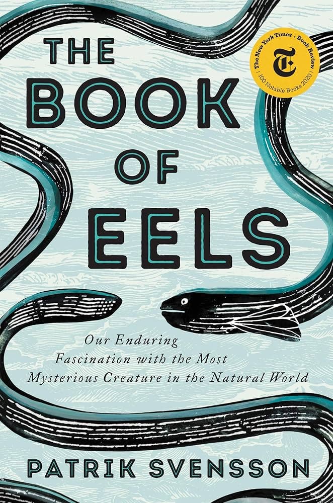 Beyond the Book: The Book of Eels