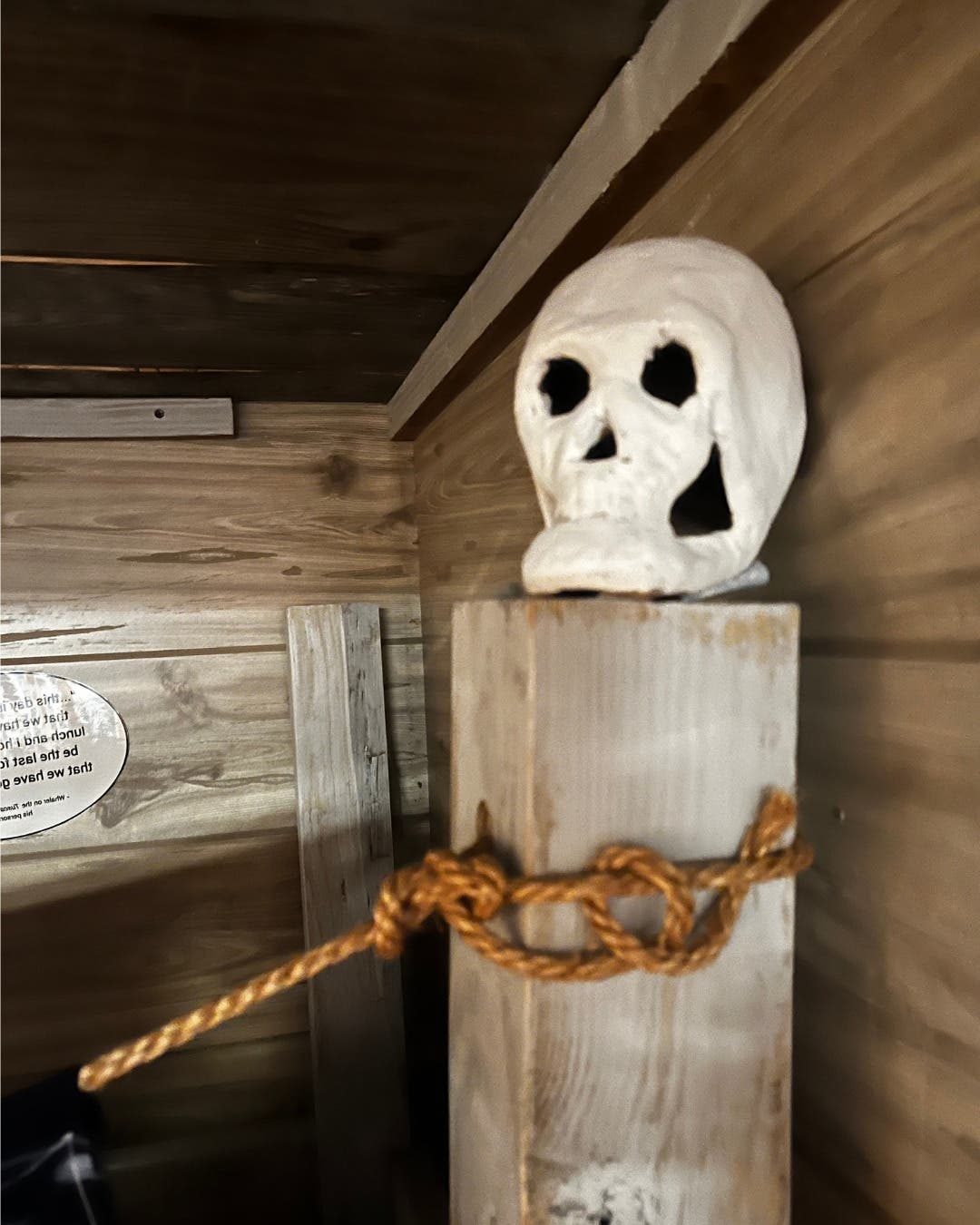 Creep-tastic Crafts & Skull Scavenger Hunt 