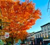 Farnsworth Avenue in downtown Bordentown