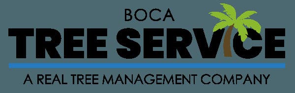 Boca Tree Service