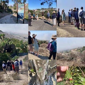 Docent Guided Nature Walk at McBride Trail