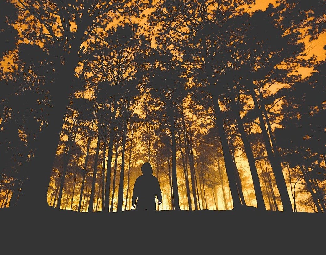 Profs & Pints DC: Venturing into Eco-Horror