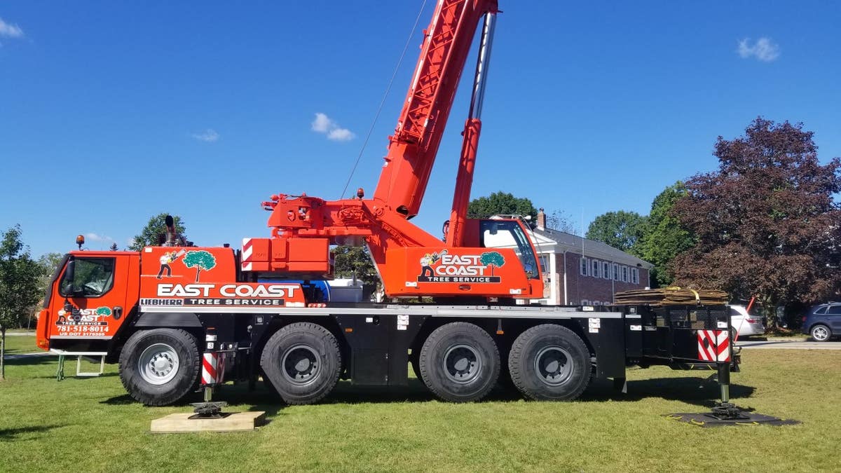 East Coast Tree Service LLC
