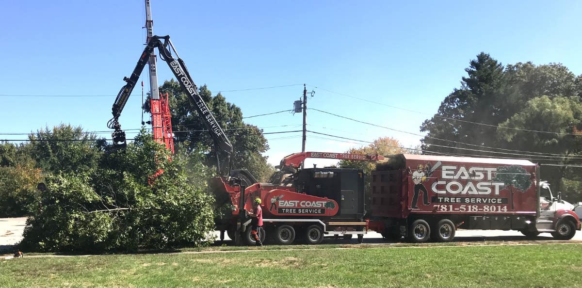 East Coast Tree Service ~ 781-518-8014