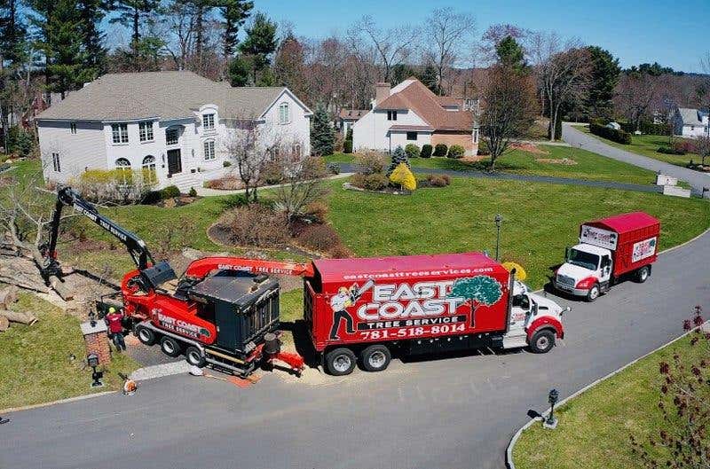 East Coast Tree Service LLC