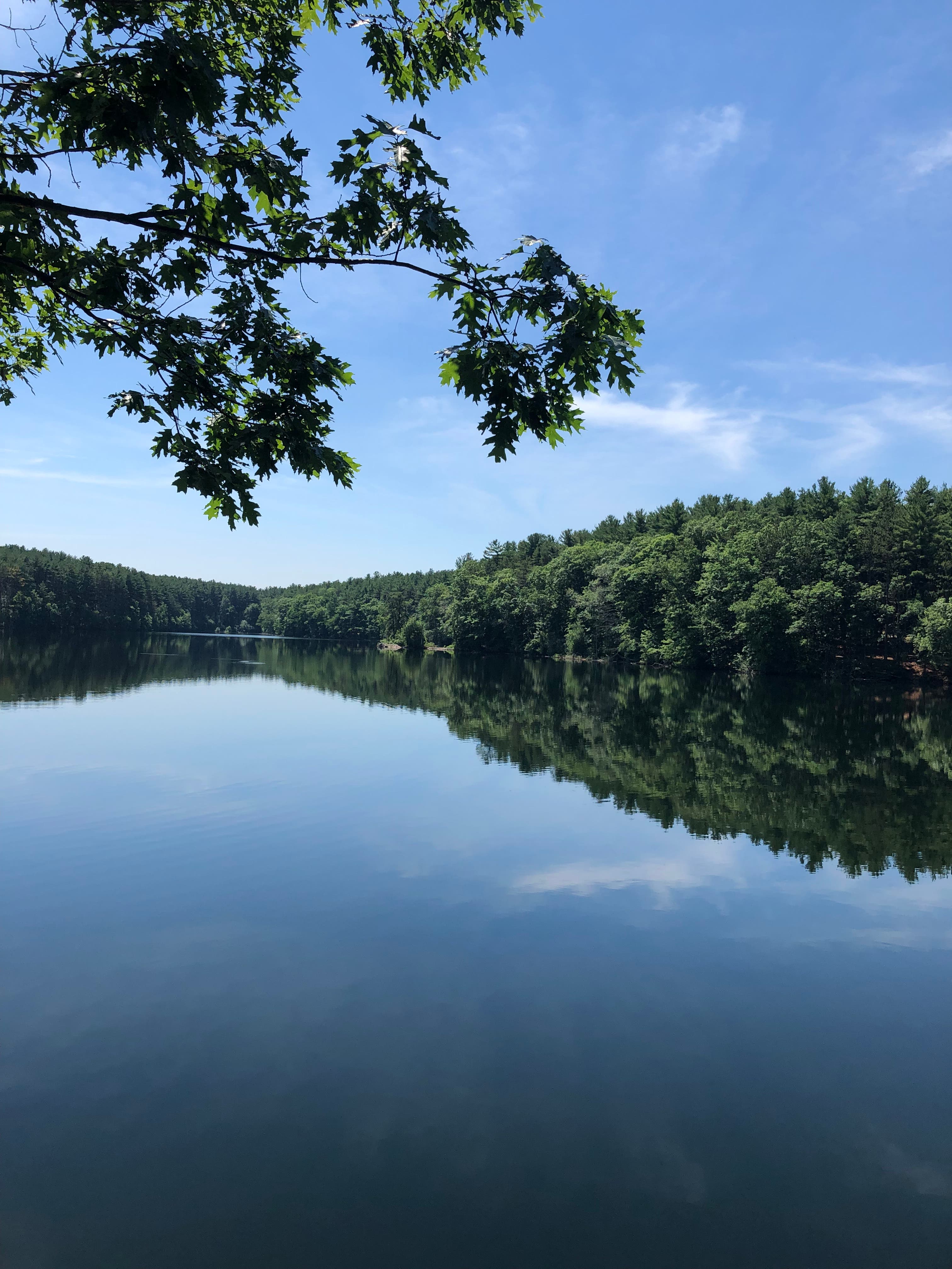 Kimberly Lemkin MD Psychiatrist Massachusetts and New Hampshire