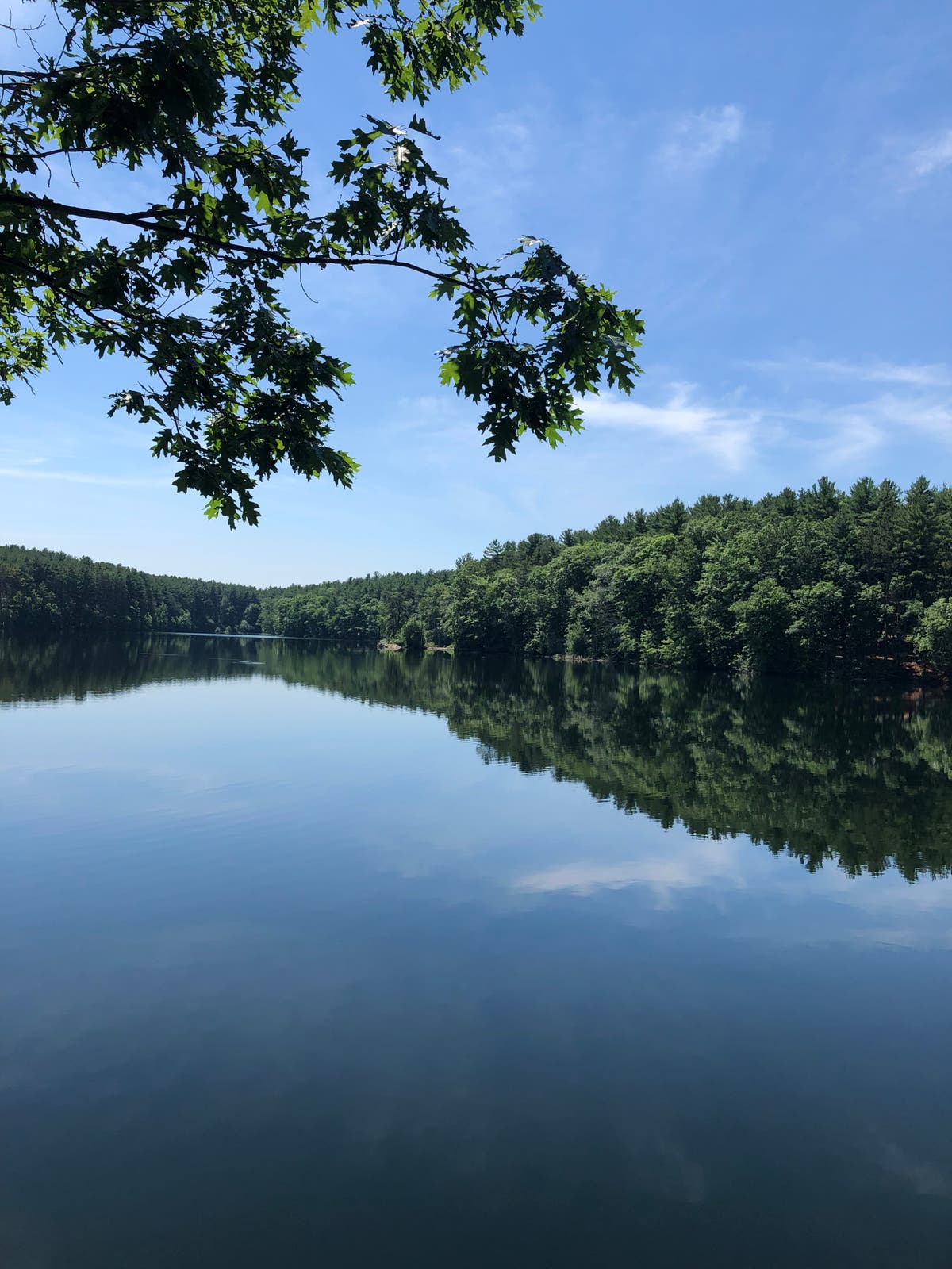 Kimberly Lemkin MD- Psychiatrist- Massachusetts and New Hampshire