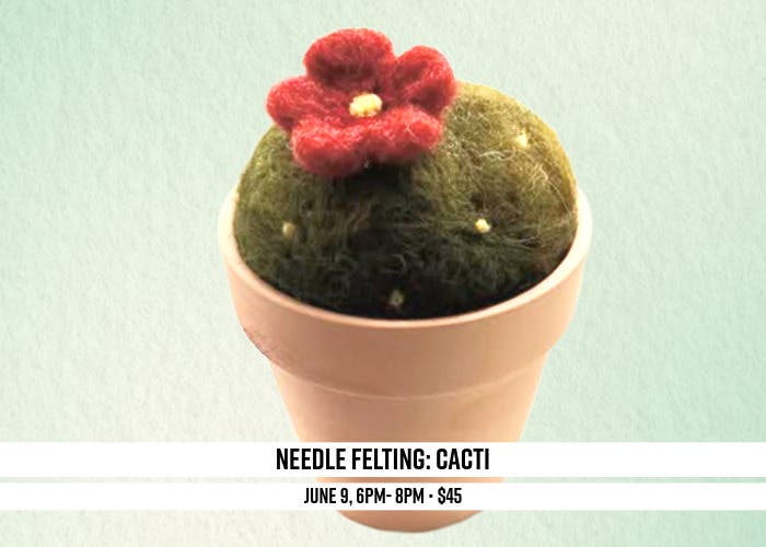 Needle Felting: Cacti