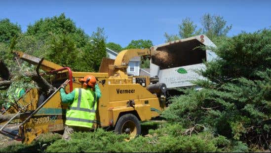 Trees Unlimited NJ