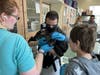 Transition Town students cuddle with a cat after completing their chores at NAWS Humane Society. “It’s OK to hold them,” says Jose. “Except Krusty Krab. He doesn’t like to be held.”